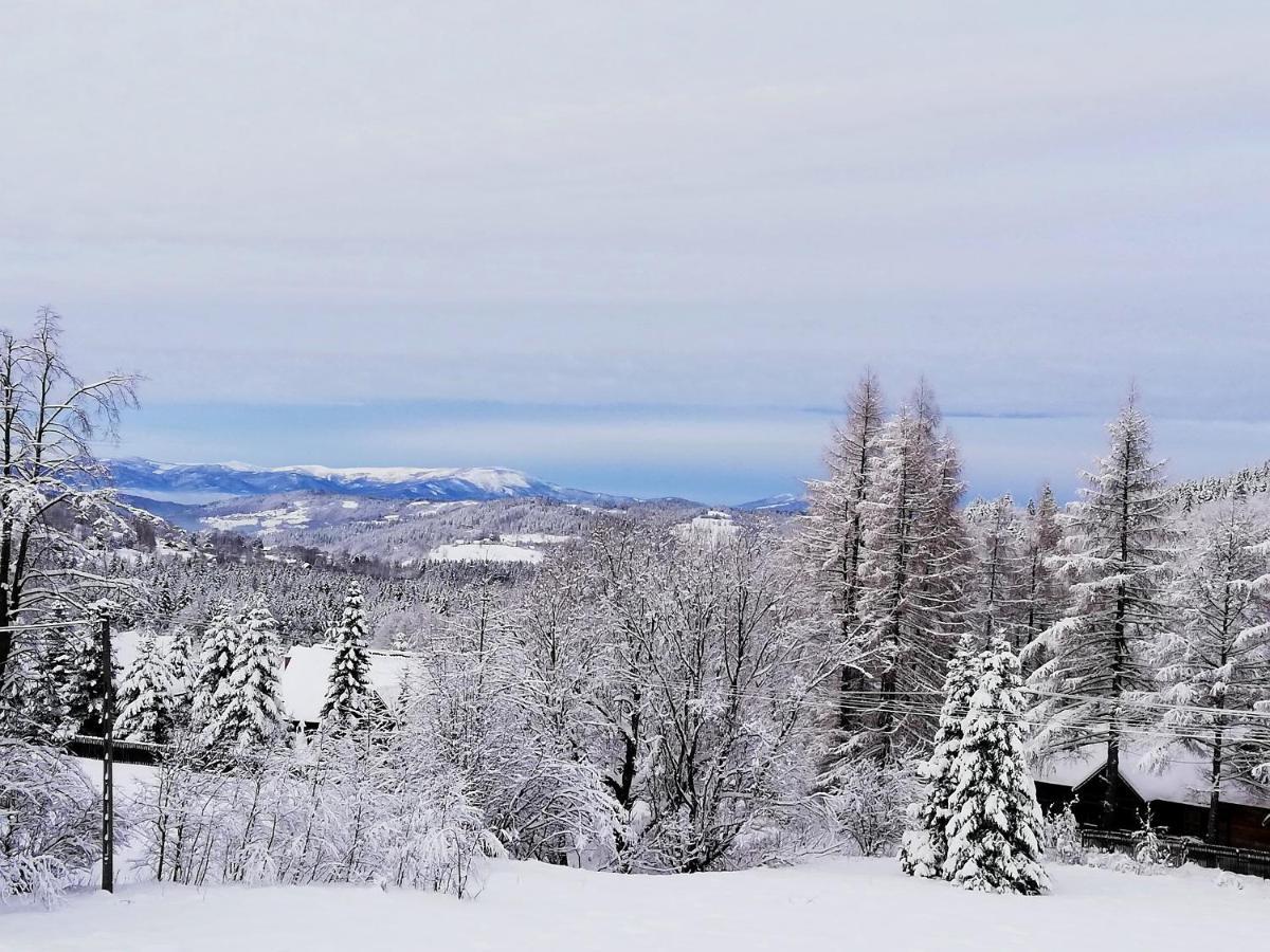 Beskidzka Ostoja Koszarawa Buitenkant foto