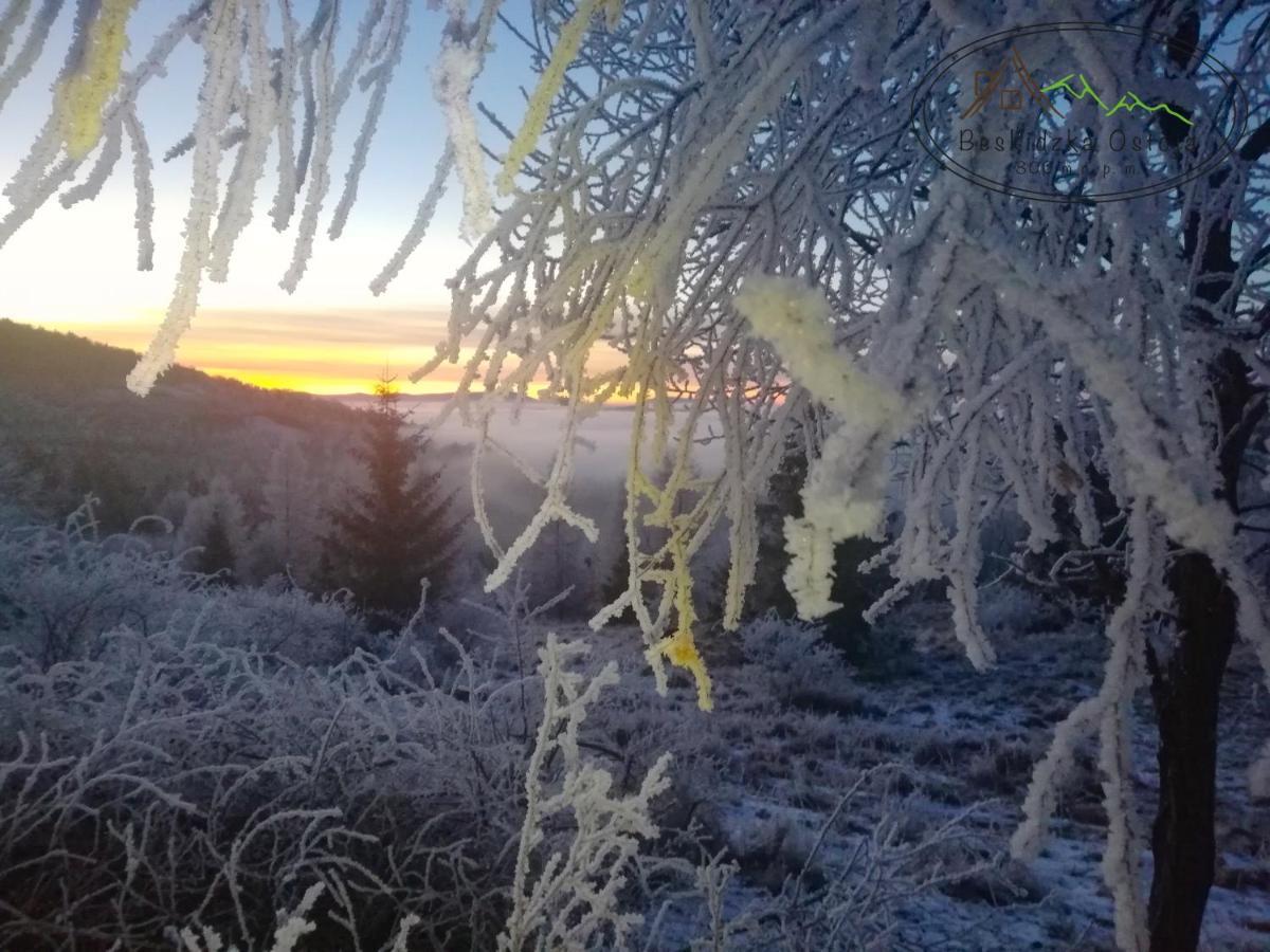 Beskidzka Ostoja Koszarawa Buitenkant foto