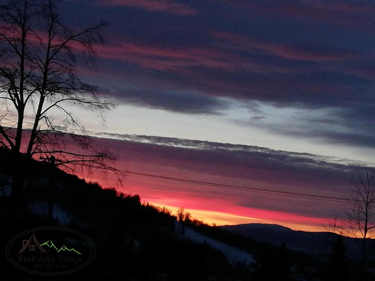 Beskidzka Ostoja Koszarawa Buitenkant foto