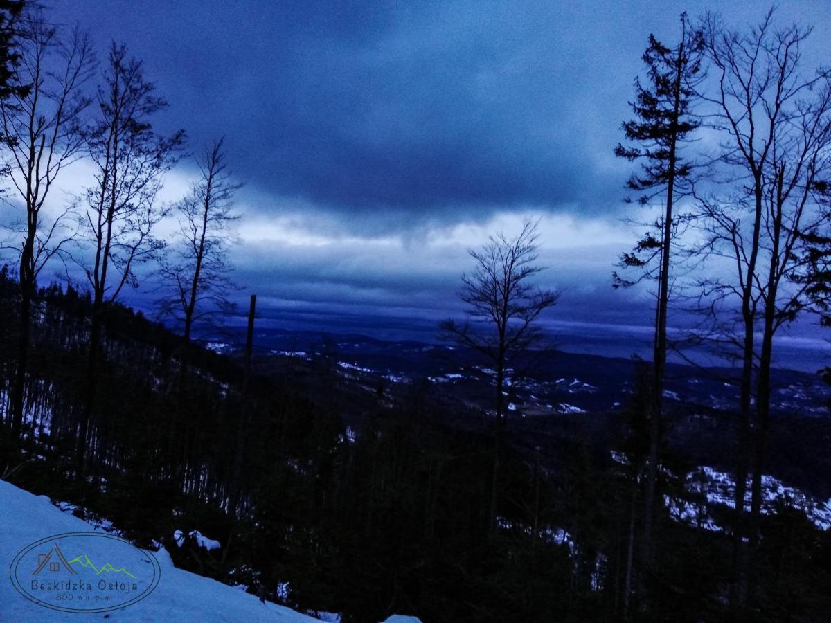 Beskidzka Ostoja Koszarawa Buitenkant foto