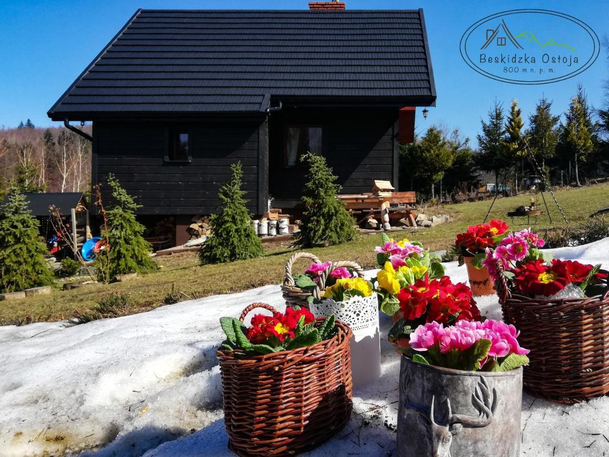 Beskidzka Ostoja Koszarawa Buitenkant foto