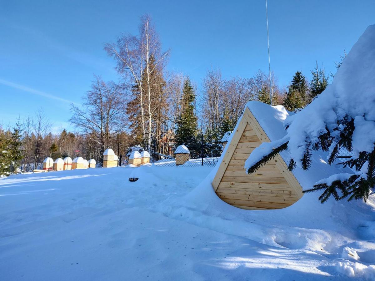 Beskidzka Ostoja Koszarawa Buitenkant foto