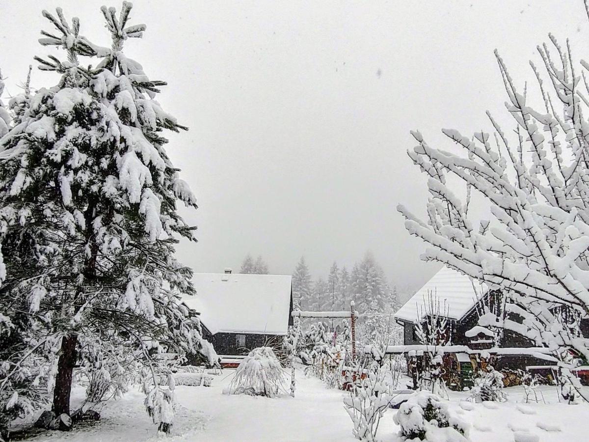 Beskidzka Ostoja Koszarawa Buitenkant foto
