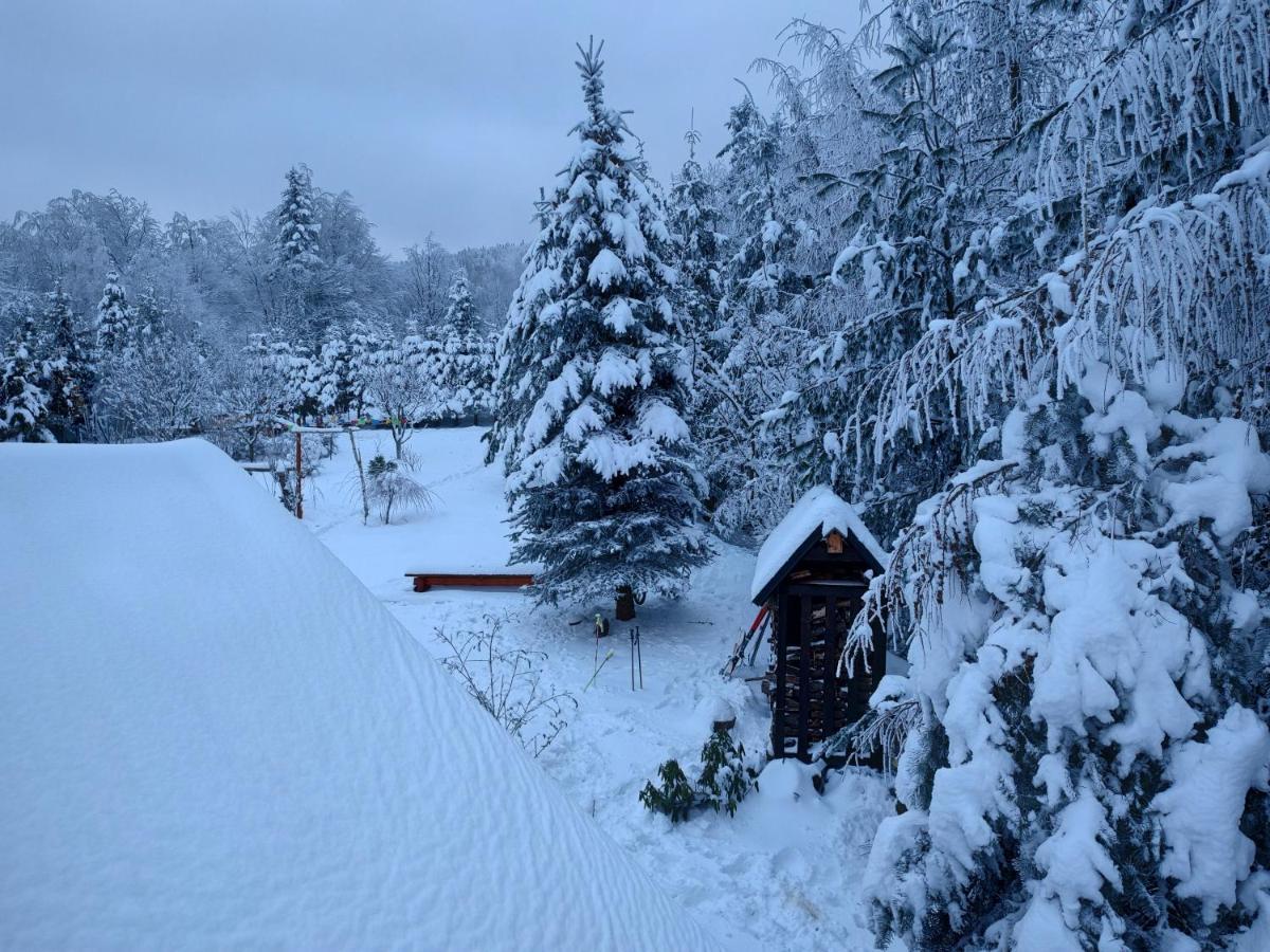 Beskidzka Ostoja Koszarawa Buitenkant foto