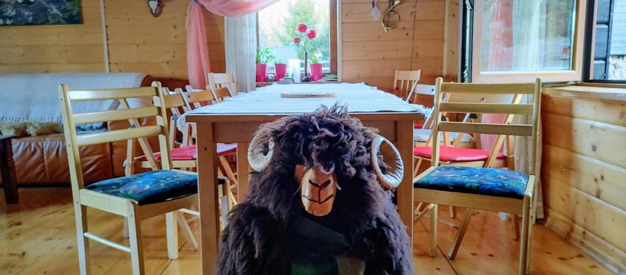 Beskidzka Ostoja Koszarawa Buitenkant foto